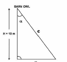 trignometry in biology