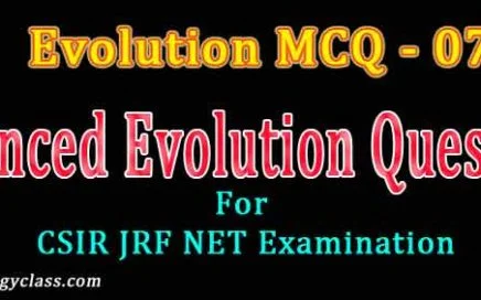 phylogenetics mcq