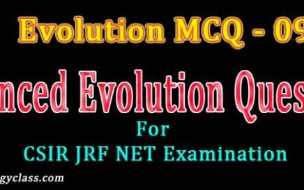 evolution practice questions