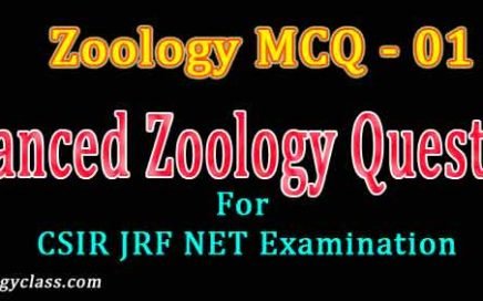 Zoology for csir examination