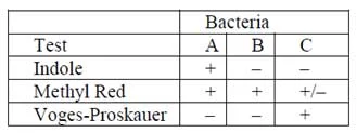 bacterial characterization tests