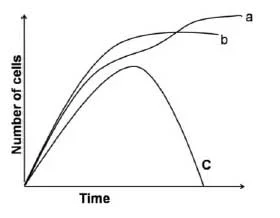 growth curve of microbes