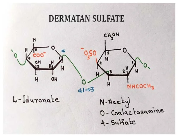 dermatan sulphate