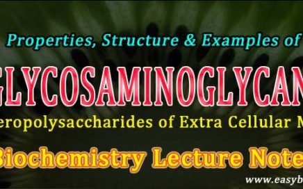 GAGS Biochemistry