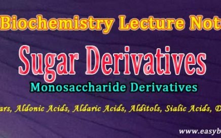 hexose derivatives