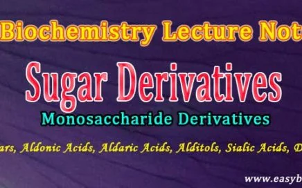 hexose derivatives