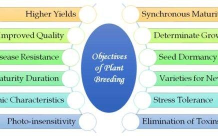 importance of plant breeding