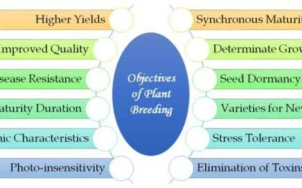 importance of plant breeding
