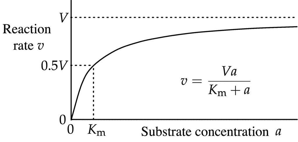 What is Km in Enzyme Kinetics | EasyBiologyClass