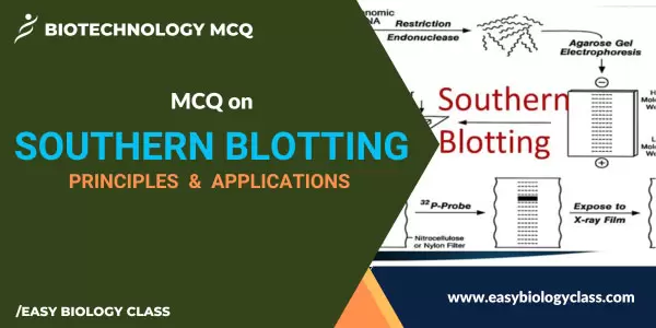 Southern Blotting MCQ