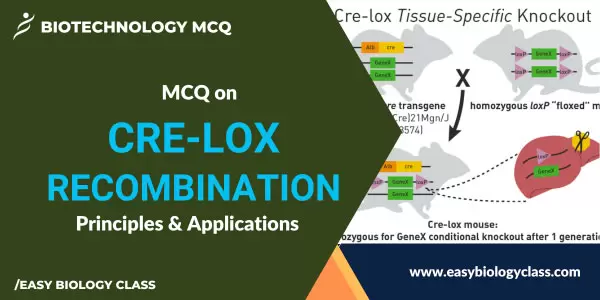 MCQ on Cre Lox Recombination