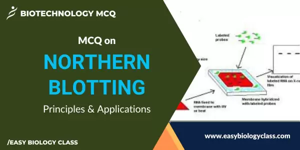 MCQ on Northern Blotting