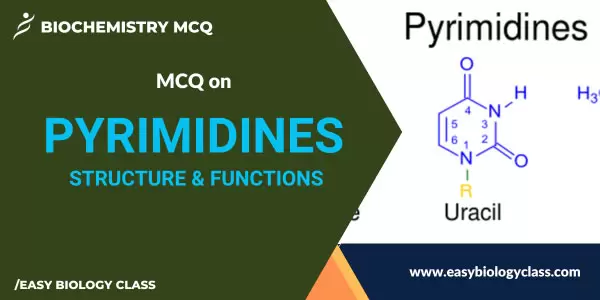 MCQ on Pyrimidine