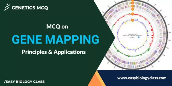 Gene Mapping Questions and Answers