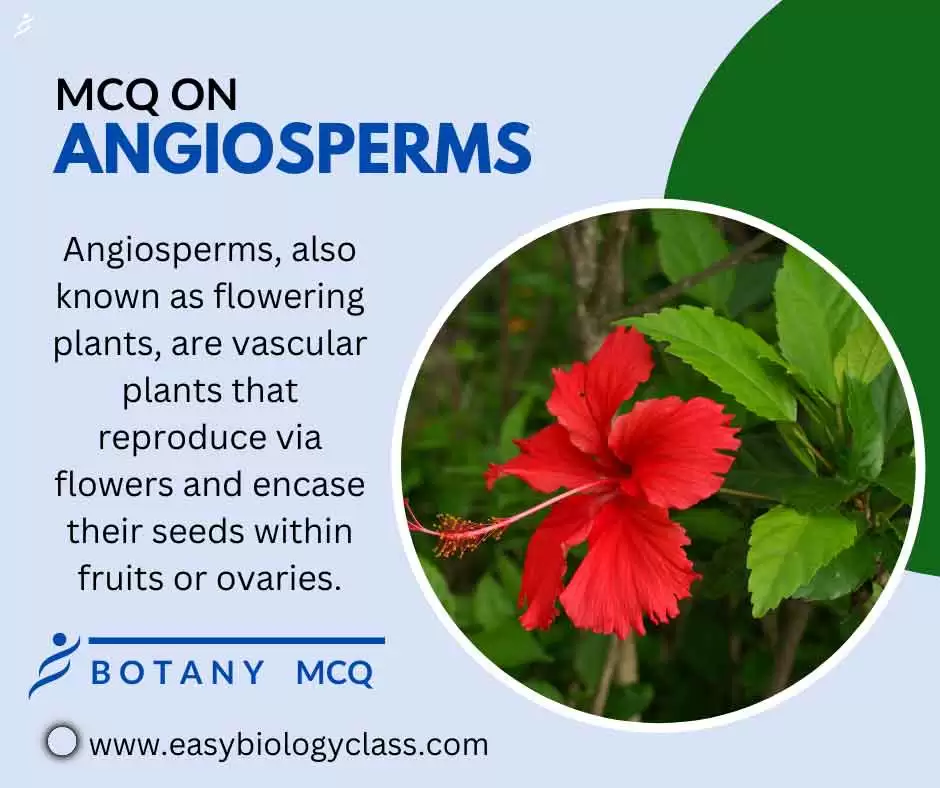 mcq on angiosperms