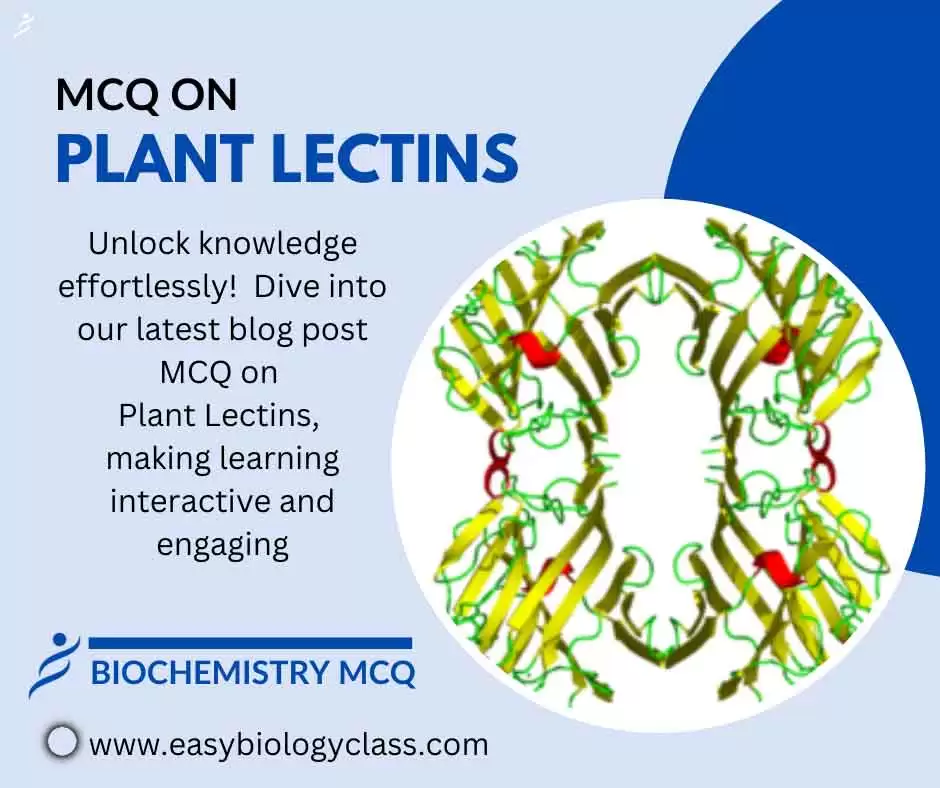 mcq on lectins