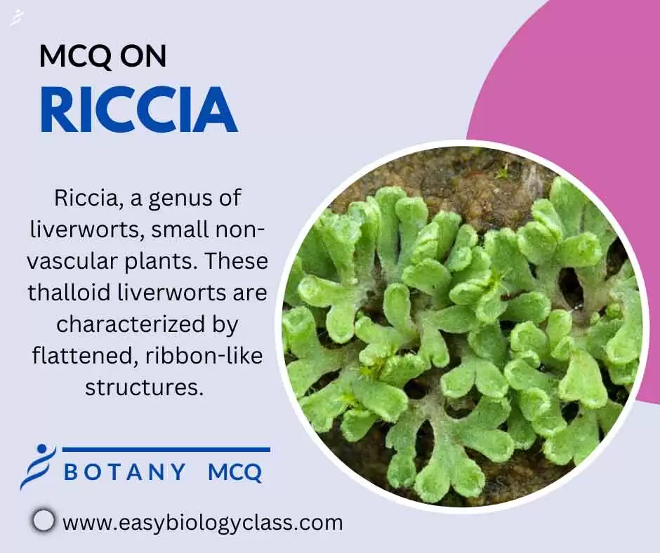 mcq on riccia