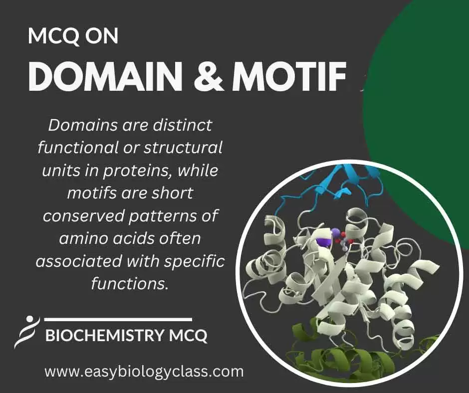 mcq on domains and motifs