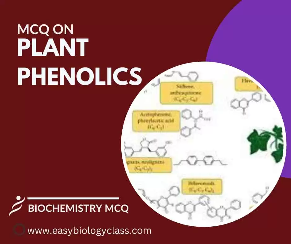 mcq on phenolics