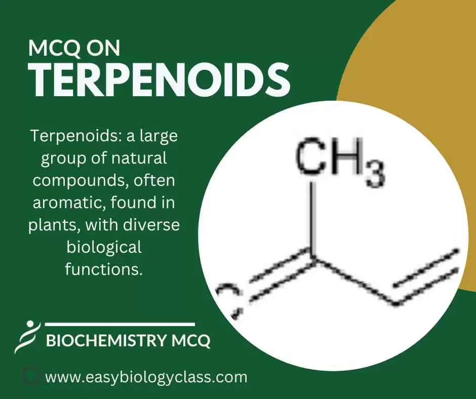 mcq on terpenoids