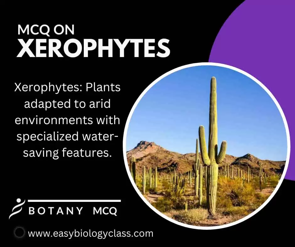 mcq on xerophytes