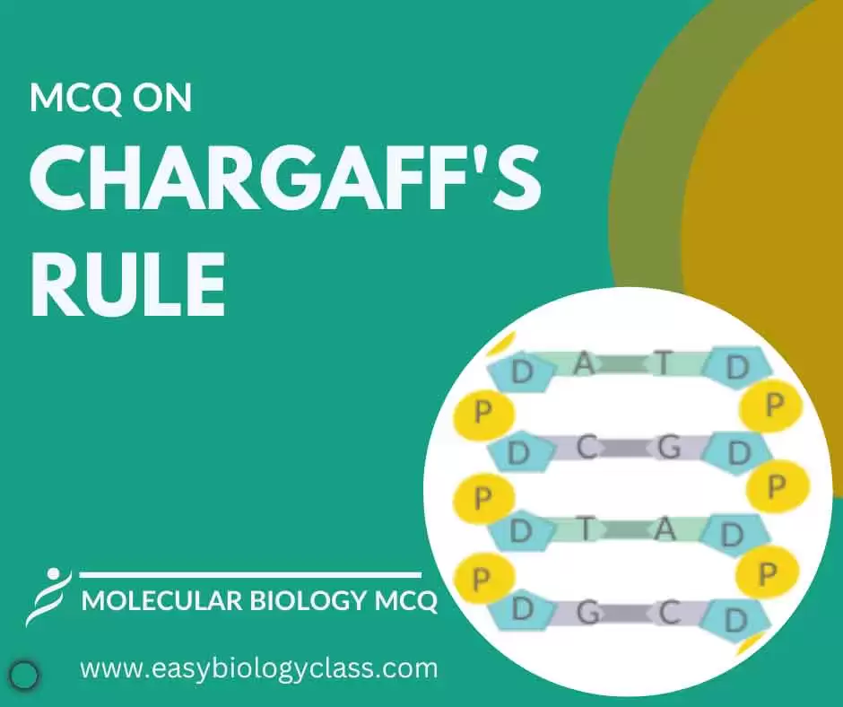 Chargaff Rule Questions