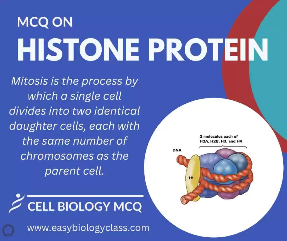 mcq on histones