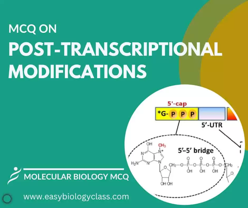 MCQ on Post Transcriptional Modification