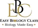 EasyBiologyClass logo