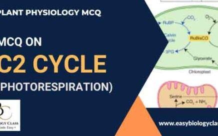 MCQ on Photorespiration