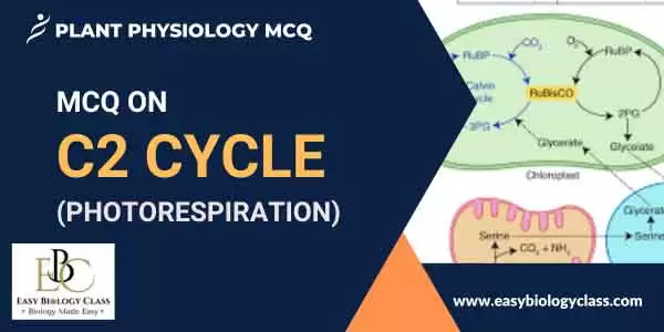 MCQ on Photorespiration