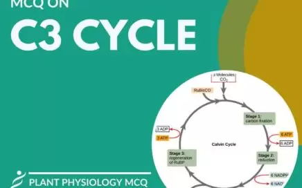 MCQ on C3 Cycle