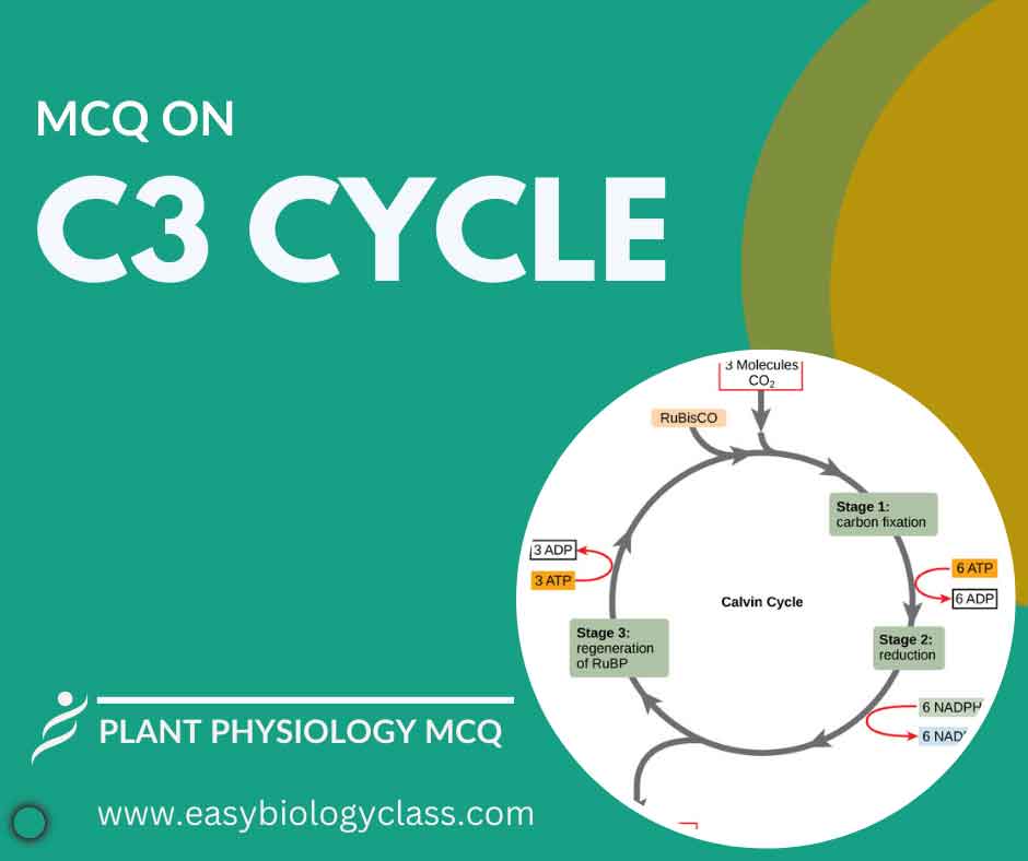 MCQ on C3 Cycle