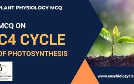 MCQ on C4 Cycle