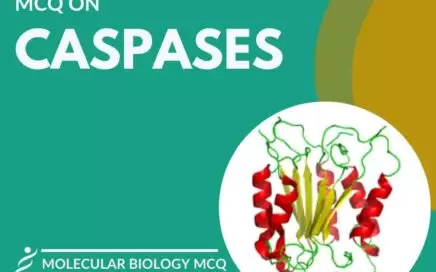 MCQ on Caspases in Apoptosis