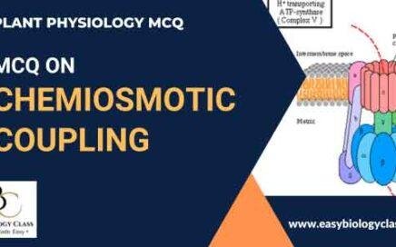 MCQ on Chemiosmotic Coupling