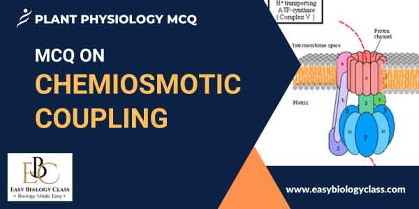 MCQ on Chemiosmotic Coupling