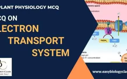 MCQ on Electron Transport System for NEET 2024