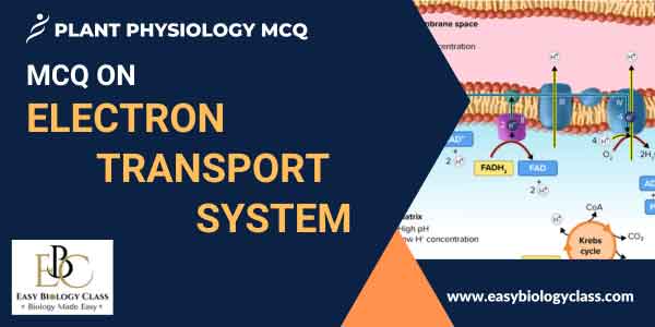 MCQ on Electron Transport System for NEET 2024
