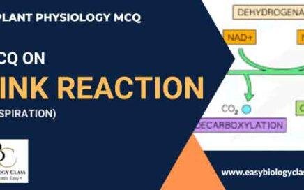 MCQ on Link Reaction of Respiration