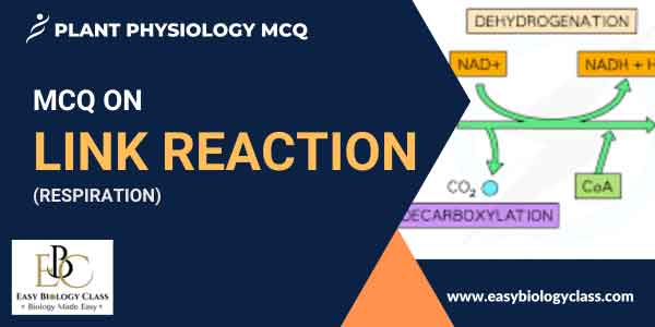 MCQ on Link Reaction of Respiration