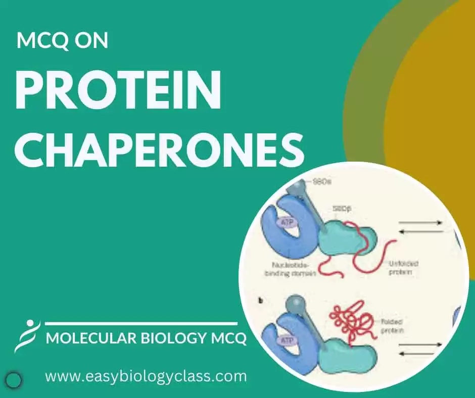 MCQ on Molecular Chaperons