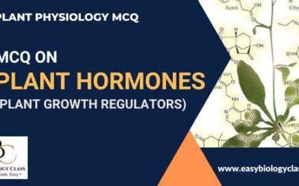 plant hormone mcq
