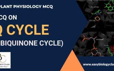 mcq on q cycle