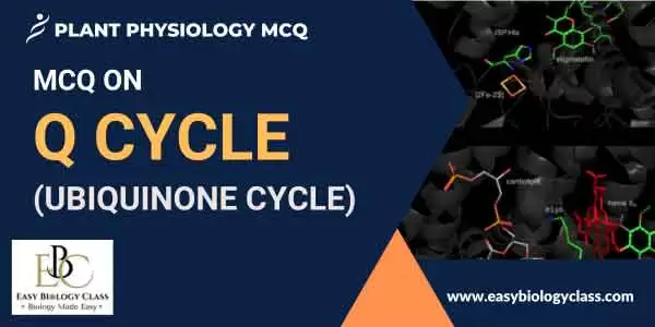 mcq on q cycle