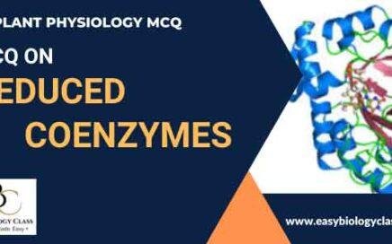 mcq on reduced coenzymes