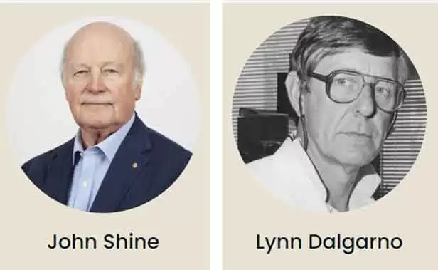 what is shine dalgarno sequence