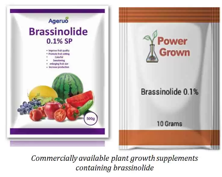 brassinolide solution