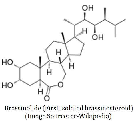 brassinosteroids structure
