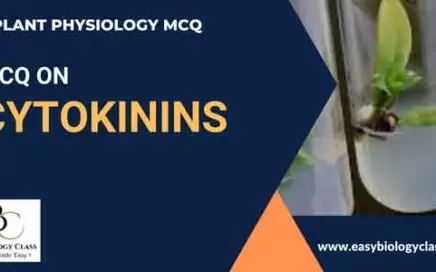mcq on cytokinin